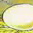 Illustration thumbnail